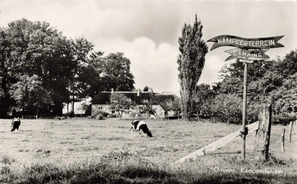 Ommen Het Kampeerterrein M7817, Ophalen, 1960 tot 1980, Gelopen, Overijssel
