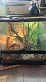 Exo terra 45x45x45 (leeg), Dieren en Toebehoren, Reptielen en Amfibieën | Toebehoren, Ophalen of Verzenden, Zo goed als nieuw