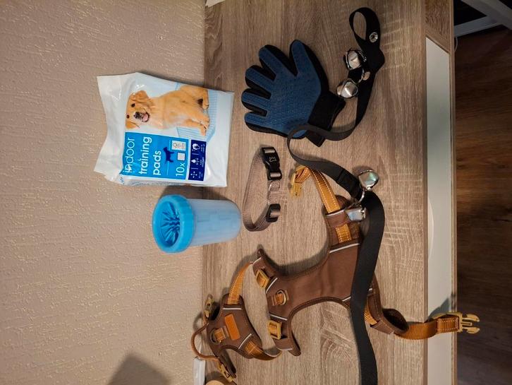 Puppy spullen, Dieren en Toebehoren, Honden-accessoires, Nieuw, Ophalen of Verzenden