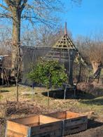 Glansmispel op stam, ca. 1,75m hoog, Tuin en Terras, Planten | Bomen, Overige soorten, Lente, 100 tot 250 cm, Ophalen