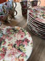 Servies 6 personen + extra borden, Gebruikt, Ophalen of Verzenden, Overige stijlen, Aardewerk