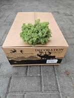 3 kg doos Noors Rendiermos, voor het maken van moswanden, Ophalen of Verzenden, Nieuw