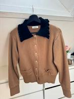Sandro vest beige, Kleding | Dames, Truien en Vesten, Ophalen of Verzenden, Zo goed als nieuw, Beige