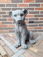 Betonbeeld leeuwin, Tuin en Terras, Tuinbeelden, Ophalen, Nieuw, Beton, Dierenbeeld