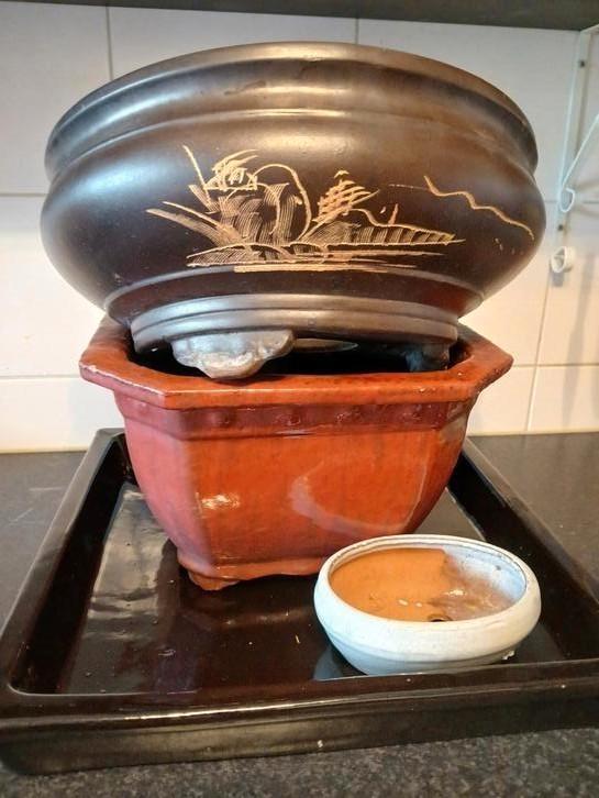 Bonsai potten/schaal/bakken, Tuin en Terras, Bloembakken en Plantenbakken, Zo goed als nieuw, Steen, Minder dan 30 cm, Overige vormen
