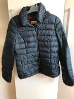 Esprit tussenjas – lichtgewicht jas donkerblauw maat S (36), Kleding | Dames, Jassen | Zomer, Blauw, Ophalen of Verzenden, Zo goed als nieuw