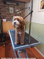 Labradoodle trimsalon, voor alle soorten doodles, Diensten en Vakmensen