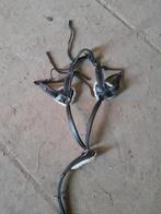 Shires borsttuig, Dieren en Toebehoren, Ophalen of Verzenden, Zo goed als nieuw, Springen