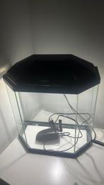 Ciano 30l aquarium, Ophalen of Verzenden, Gebruikt, Leeg aquarium