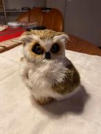 uiltje, Ophalen, Zo goed als nieuw, Dier