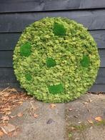 Mosschilderij 60 cm, Ophalen of Verzenden