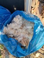 schapenwol, Hobby en Vrije tijd, Ophalen, Spinwol