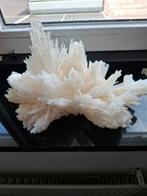 Scolociet, Verzamelen, Mineralen en Fossielen, Ophalen of Verzenden, Mineraal