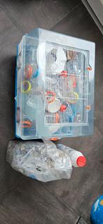 2 hamsterkooien, Ophalen