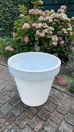 Bloempot ( wit) GRATIS, Tuin en Terras, Ophalen, Kunststof, Gebruikt, Minder dan 60 cm