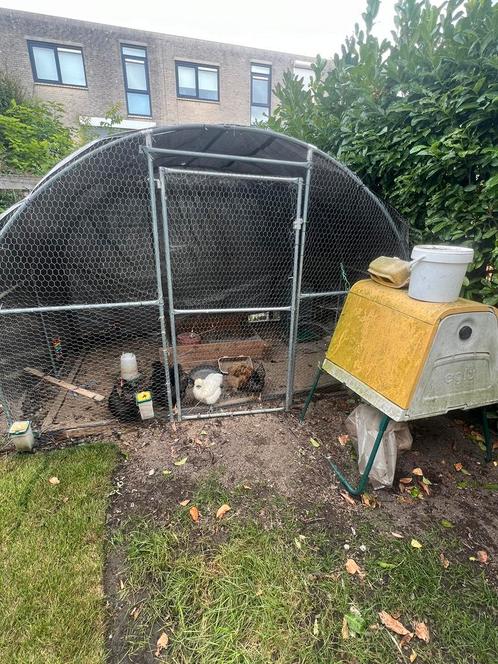 Omlet eglu kippenhok, Dieren en Toebehoren, Pluimvee | Toebehoren, Zo goed als nieuw, Kippenhok of Kippenren, Ophalen