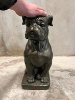Groot beeld Bulldog 55 cm, Ophalen of Verzenden