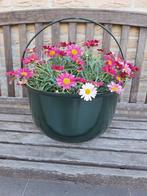 nieuwe bloempot heksenketel, Ophalen, Rond, Nieuw, Tuin