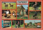 Staphorst Meerluik, Verzamelen, Ansichtkaarten | Nederland, Verzenden, 1980 tot heden, Gelopen, Overijssel