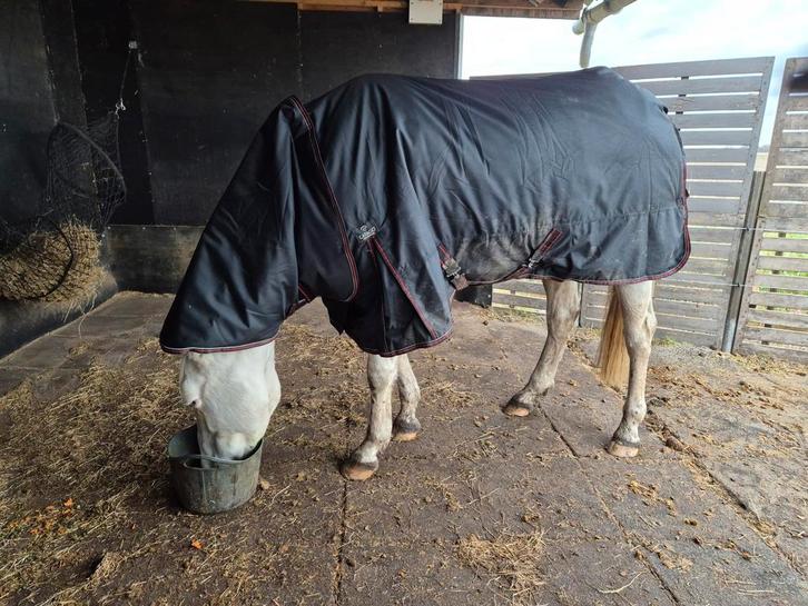 Catago endurance 500g winterdeken 195, Dieren en Toebehoren, Paarden en Pony's | Dekens en Dekjes, Zo goed als nieuw, Ophalen of Verzenden