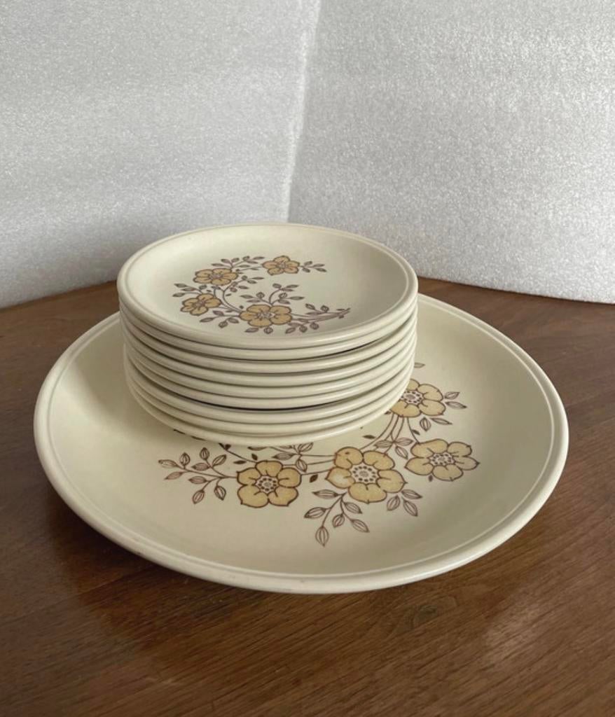 Vintage Gebaksset Biltons Staffordshire - 10-delig, Gebruikt, Ophalen of Verzenden, Bord(en), Overige stijlen