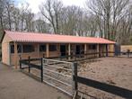 dubbelwandige paardenstallen, Weidegang, 4 paarden of pony's of meer