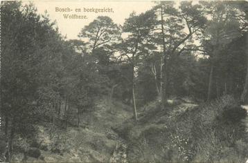(387-061-033) Wolfheze Bosch en Beekgezicht beschikbaar voor biedingen
