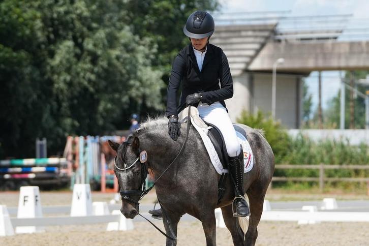 Bijbaantje gezocht met paarden, Contacten en Berichten, Sport en Hobby oproepen
