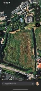 Weide te huur (honden/schapen), Weidegang