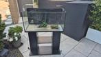 Maar €85;Compleet aquarium80cm,meubel,verwarming,plant,hout!, Ophalen of Verzenden, Zo goed als nieuw