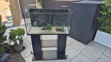 Maar €85;Compleet aquarium80cm,meubel,verwarming,plant,hout! beschikbaar voor biedingen
