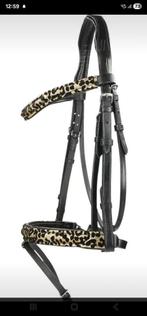 Gezocht; safari hoofdstel harrys horse maat full, Ophalen of Verzenden, Dressuur