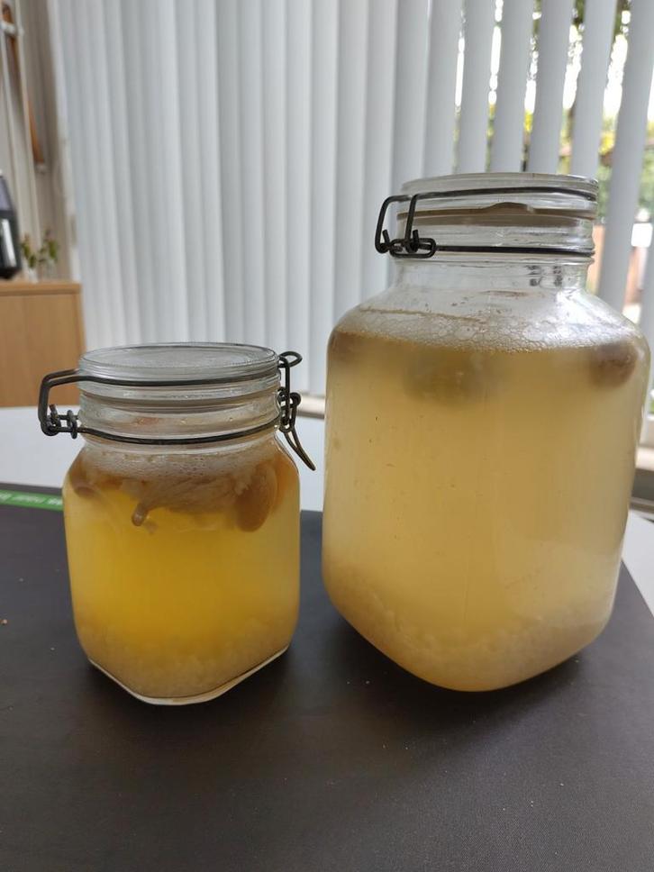 Waterkefir GRATIS, Diversen, Levensmiddelen, Ophalen