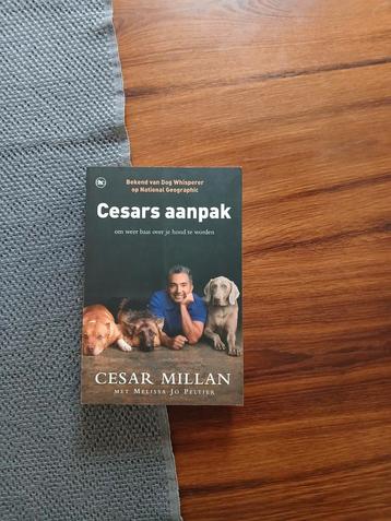 Cesar Millan - Cesars aanpak beschikbaar voor biedingen
