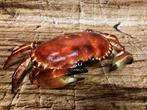 Beeld gietijzer krab ware grote., Antiek en Kunst, Ophalen of Verzenden