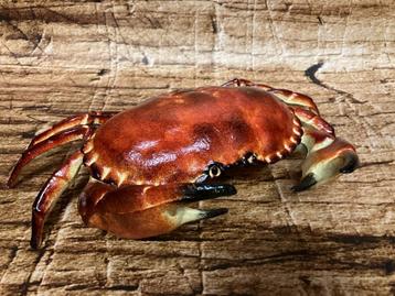 Beeld gietijzer krab ware grote. beschikbaar voor biedingen