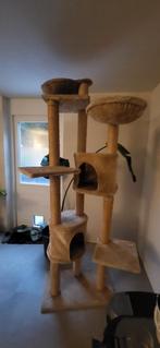 Kattenkrabpaal, Dieren en Toebehoren, Ophalen