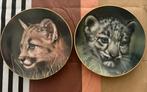 Set van 2 Princeton Gallery borden - Welpen van grote katten, Ophalen of Verzenden