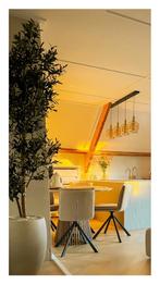 Design hanglamp Zuzanna met 4 dimbare LED filamentlampen, Ophalen, Zo goed als nieuw, Glas, 75 cm of meer