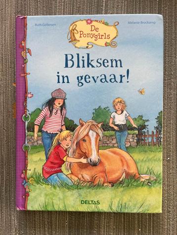 De Ponygirls: Bliksem in gevaar! beschikbaar voor biedingen
