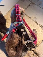 Halsband, Ophalen of Verzenden, Nieuw, Hondenriem