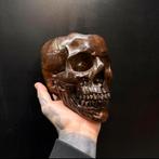 Realistische mensen schedel skull, Ophalen of Verzenden, Zo goed als nieuw