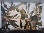 Nieuw
Prachtig canvas schilderij van een olijvenboom met gro, Ophalen of Verzenden