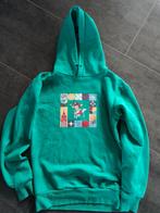 Efteling Hoodie maat XXS (164), Gebruikt, Jongen of Meisje, Trui of Vest, Efteling