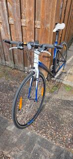 Giant Rapid hybride fiets, Gebruikt, Meer dan 20 versnellingen, 53 tot 57 cm, Giant