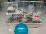 Hamsterkooi inclusief 2 ballen en accessoires, Kooi, Minder dan 75 cm, Minder dan 60 cm, Gebruikt