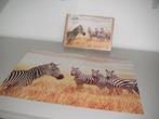 Legpuzzel zebra’s 1000 stukjes (compleet) zgan., Ophalen, 500 t/m 1500 stukjes, Zo goed als nieuw, Legpuzzel