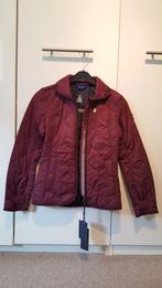 Gaastra dames tussenjas rood, Ophalen of Verzenden, Zo goed als nieuw, Maat 34 (XS) of kleiner, Rood