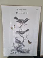 Ikea poster, 50 tot 75 cm, Nieuw, Ophalen of Verzenden, Foto of Poster