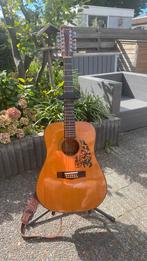 Ibanez AW-25 uit 1982 12-snarig, Ophalen, Gebruikt, Western- of Steelstringgitaar, 12-snarig